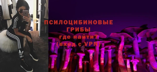 МДПВ Верея