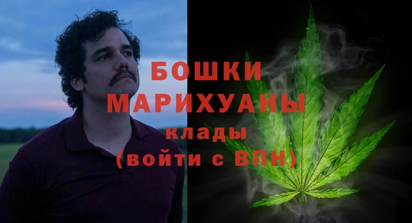 гидра Сясьстрой