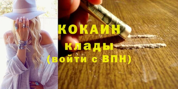 a pvp Тайга