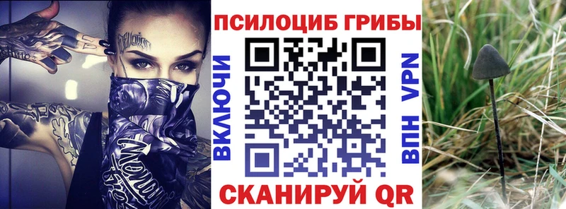 Псилоцибиновые грибы GOLDEN TEACHER  Калязин 